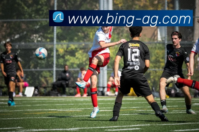 多媒体互动体验