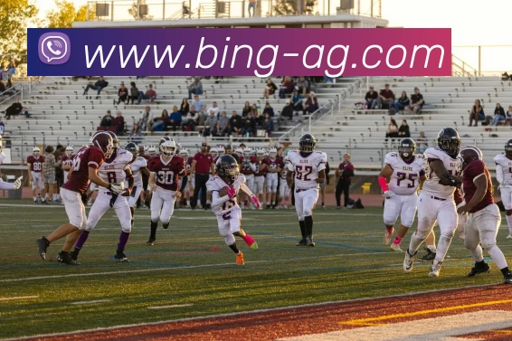 AG娱乐APP 高清赛事图